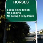 Horse limit 150x150 Merkelige lover og regler