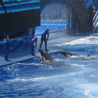 SeaWorld Orlando