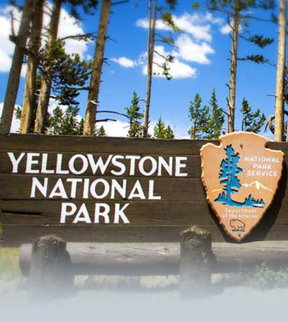 Yellowstone National Park