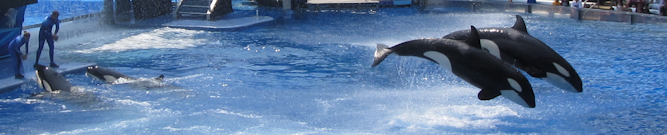 Seaworld