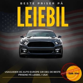  Søk etter leiebil i USA her